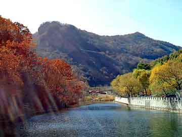 新澳天天开奖资料大全旅游团，辽宁图书批发市场